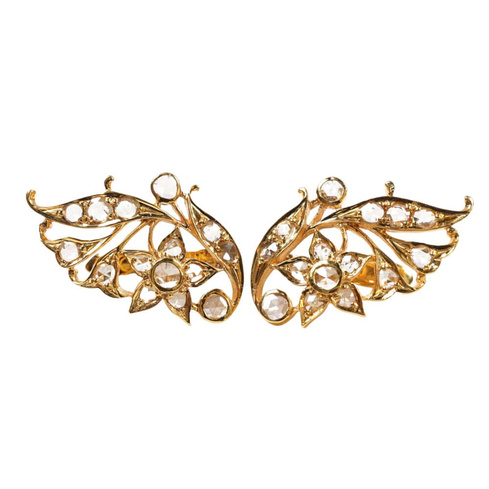Wings of a butterfly